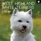 The Gifted Stationary 2025 Square Wall Calendar, West Highland White Terriers, 16-Month Animals Theme Hanging Calendar with 180 Reminder Stickers, Month Planner for Home or Creative Spaces, 12x12 In